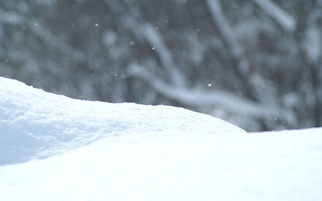 Yumoto Niseko Prince Hotel Hirafutei