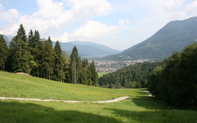 Almenrausch und Edelweiss