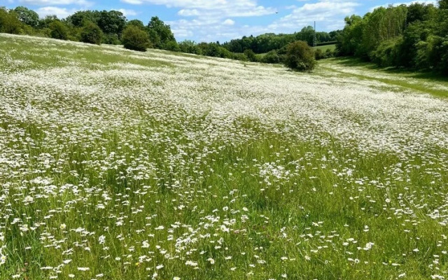 Luxury Chilterns Hideaway, Easy Access to London