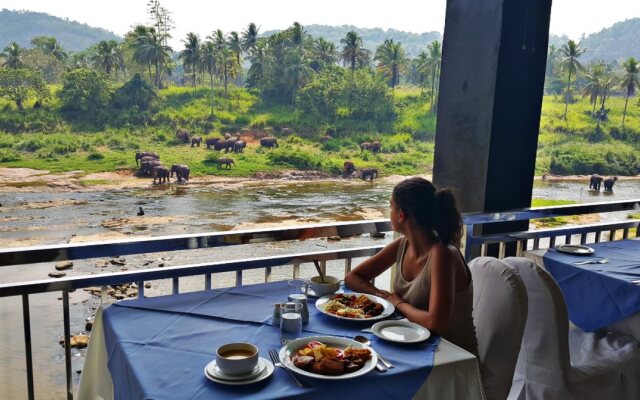 Hotel Elephant Park