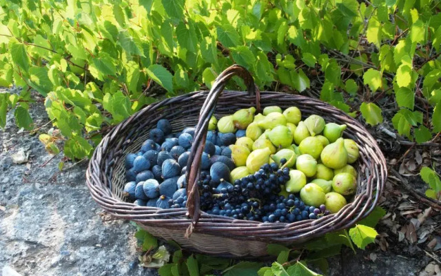 Domaine de Coussères