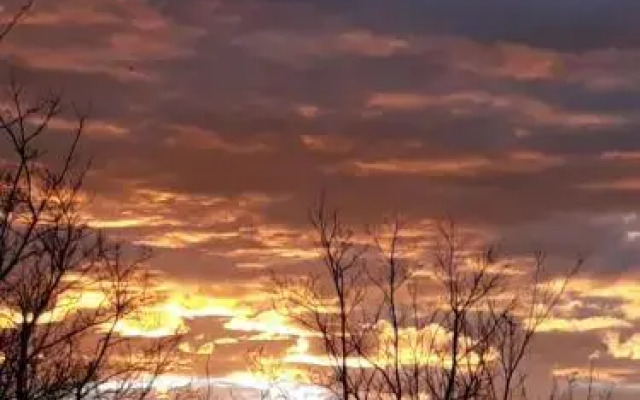 The Willows Guesthouse - фото 3