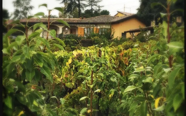 Pachamama