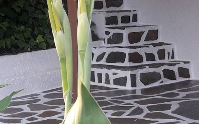 Spasmata Studios