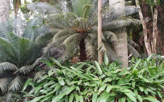 Nabana Lodge
