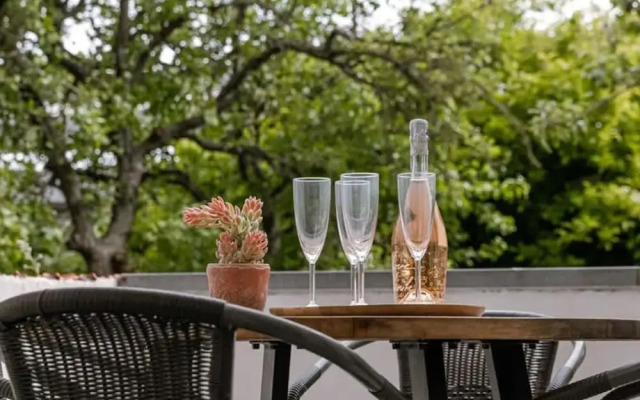 Spacious and Bright Apartment With Sunny Terrace