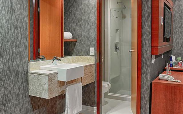 Wyndham Sao Paulo Ibirapuera Convention Plaza Hotel