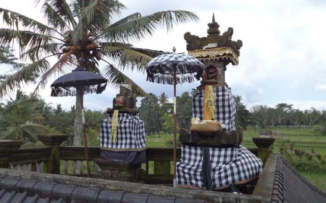 Ala's Green Lagoon Hotels