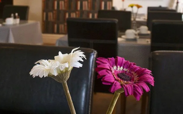 The Aldor Guest House