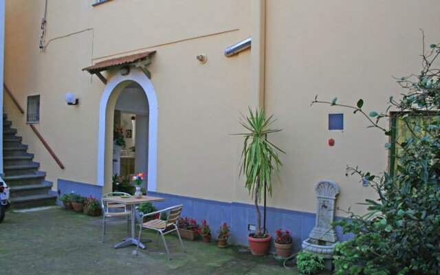 Il Tulipano