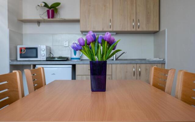 Apartmany a Studia Zamecky park