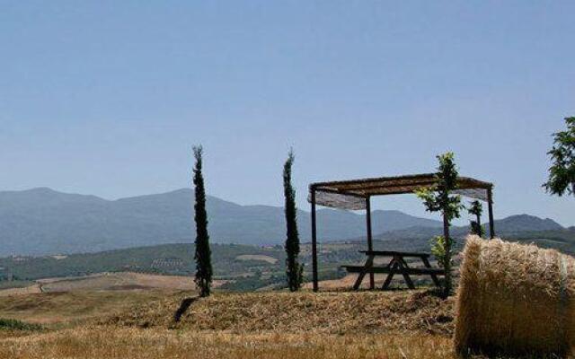 Azienda Agricola Parmoleto