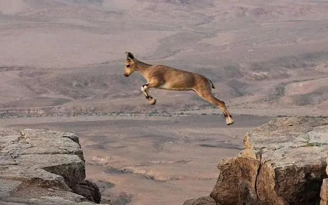 4 Zimmers in Mitzpe Ramon