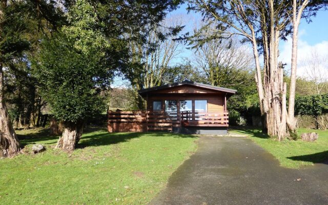 Birch Lodge 23 With Hot Tub, Newton Stewart