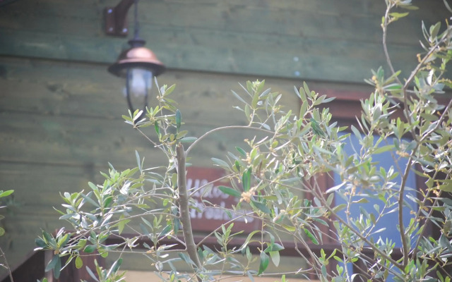 Palazzo Conforti Tree House Resort