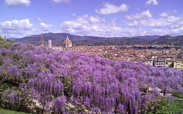 Nice studio 12 min da Santa Maria Novella