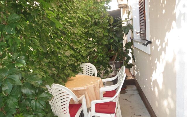 Apartment Ena - near marina "Kornati": A1 Biograd, Riviera Biograd