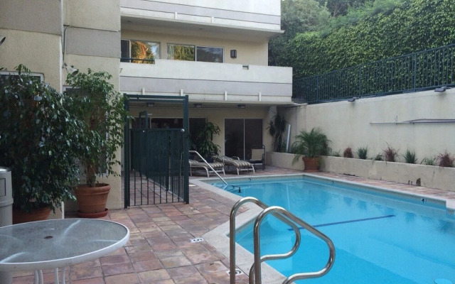 Palms 2