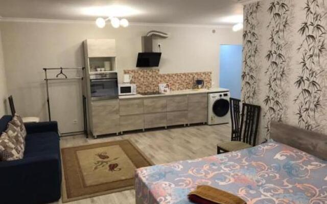 Flat 1 bedroom 1 bathroom - Almaty