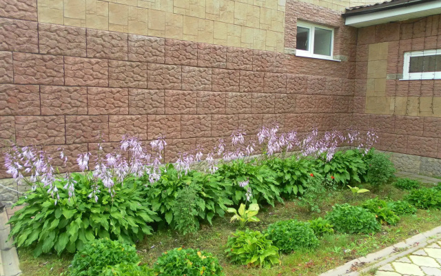 Neolit Guest house