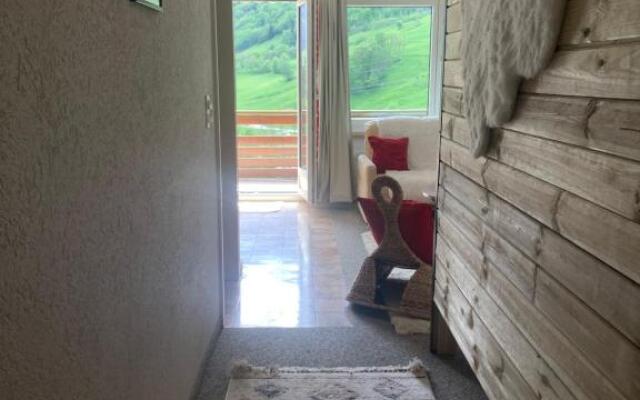 Appartement 1,5 pièce