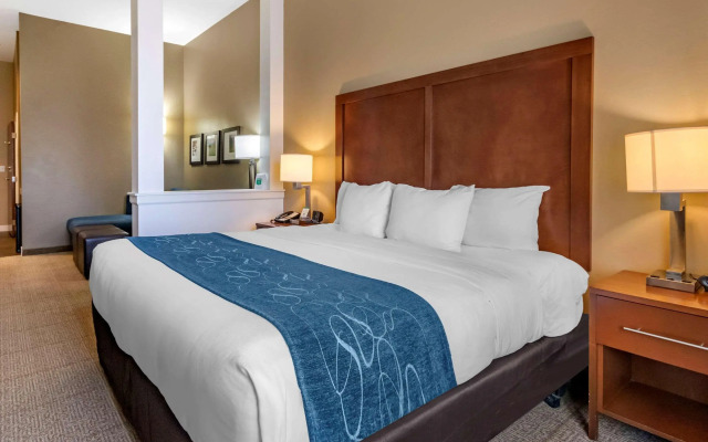 Comfort Suites Airport - University