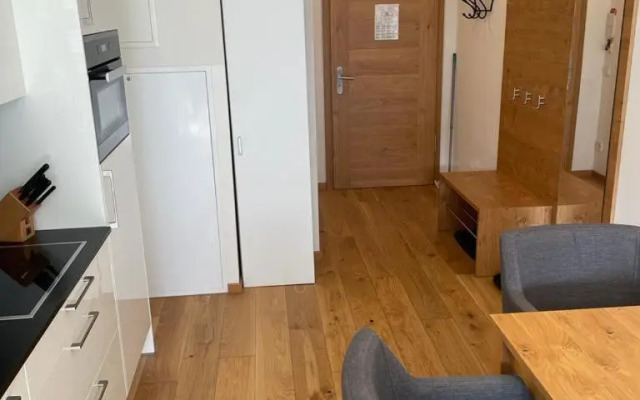 Modern Ski-In Apartment 2020M Kühtai