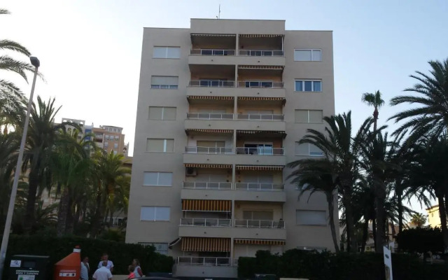 Palmeral de Torrevieja
