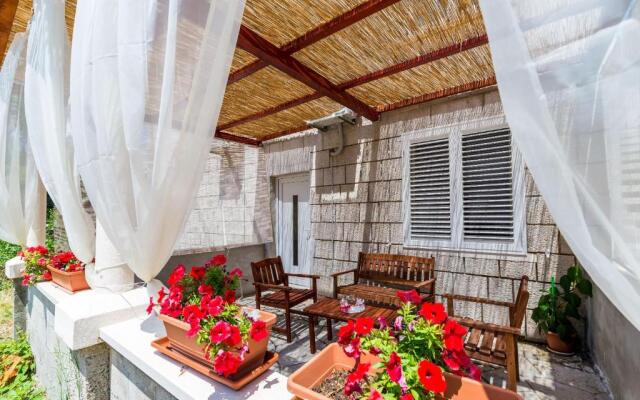 Apartments Sany