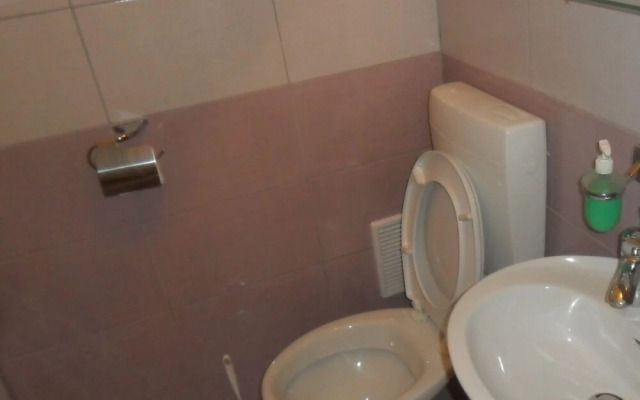 Apartment Iadera Central