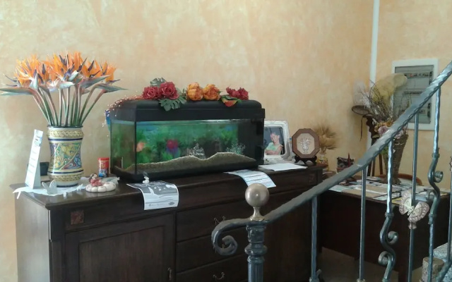 Mariposa Bed  Breakfast