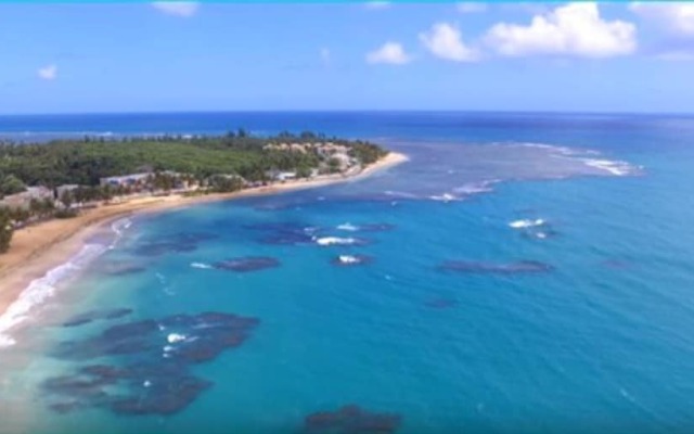 Breezy Beachfront apt. View of Paradise