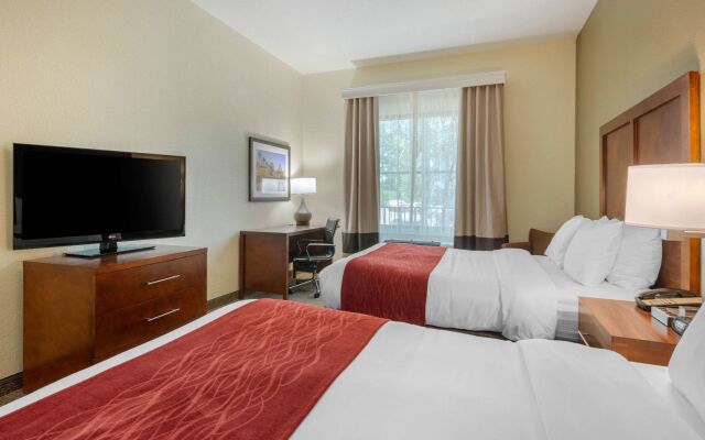 Comfort Inn & Suites St. Pete - Clearwater International Airport