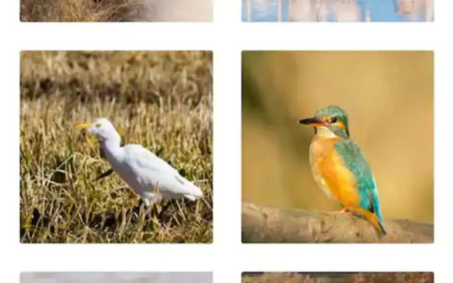 O Cantinho Entre a Ria e o Mar