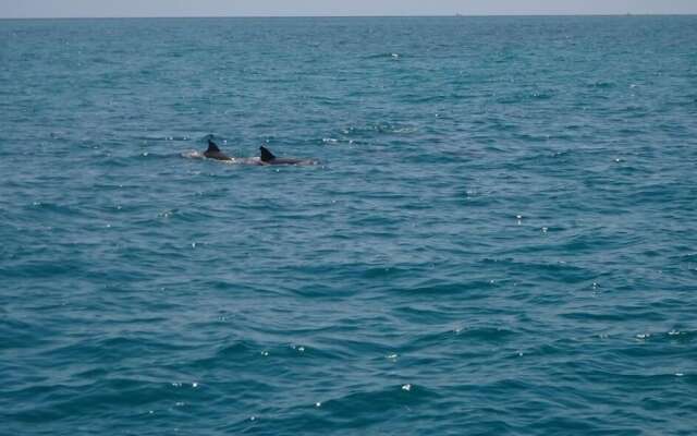 Sail Florida Adventures