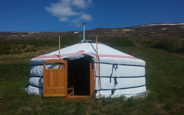 Iceland Yurt