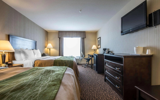 Comfort Inn Surrey Hotel