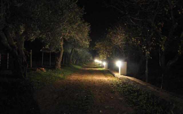 Quinta da Sardinha