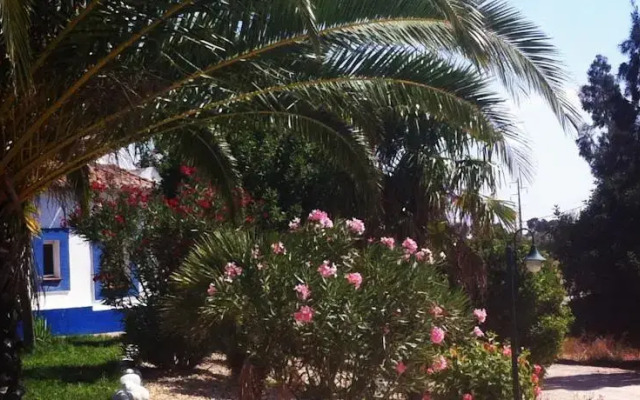 Monte Aguentinha do Campo