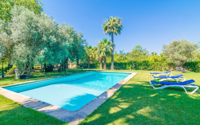 ES Senyors DE SON Amora