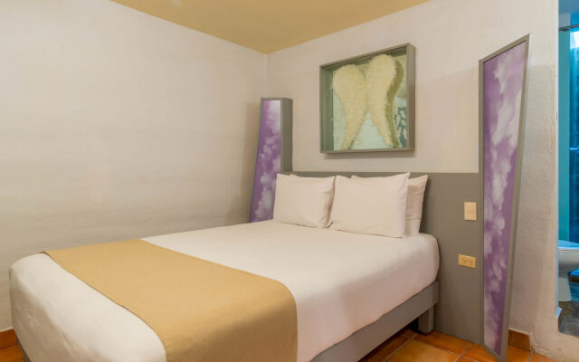 Hotel Damiana Boutique