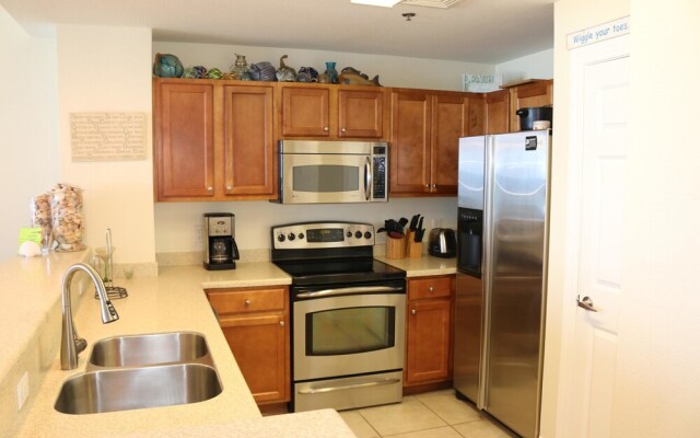 Emerald Dolphin by Surfside VR