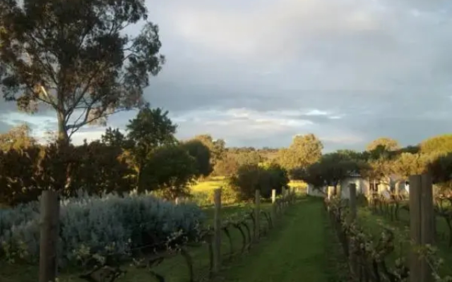 Southern Vales Bed & Breakfast