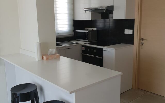 Luxury modern spacious flat in Egkomi