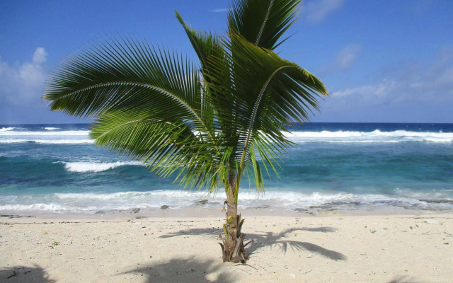 White Sands Beach Resort Tonga