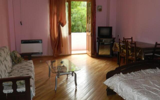 Apartment near Tbilisi Event Hall