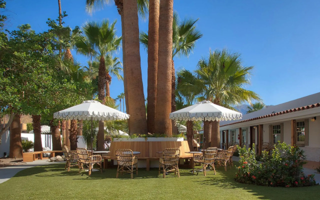 Dive Palm Springs