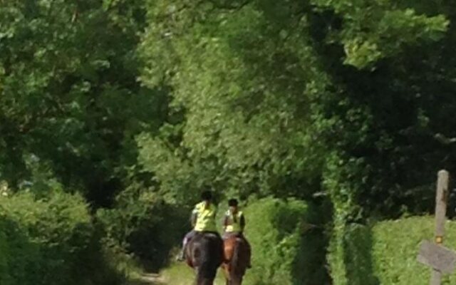 Sleepy Hollow Cottages