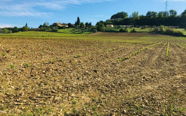 La Valle A Polvereto
