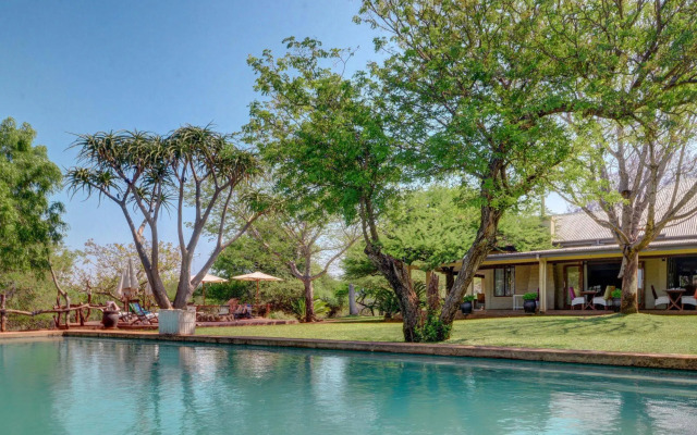 Africamps at White Elephant Safaris